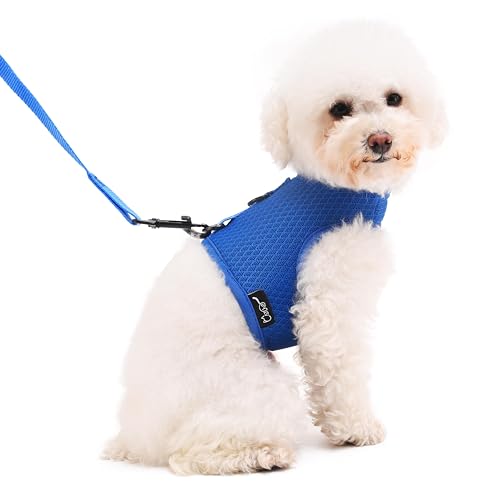 Small Dog Harness and Leash Set Small Pet Harness for Summer, Adjustable Soft Padded Dog Vest for Chihuahua, Poodle, Yorike, Maltese Under 5LBS, Solid Blue Mesh Fabric