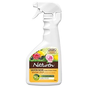 NATUREN NSAVPAL – Spuitfles zwarte zeep op basis van olijfolie 750 ml – reinigt en glanst bladeren van planten en struiken – traditionele oplossing – voor huis en tuin – klaar voor gebruik