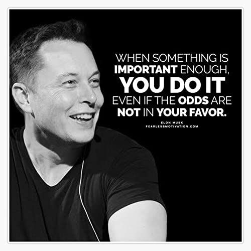 Elon Musk Quote Inspiration Sticker Bumper Sticker Vinyl Decal 5"