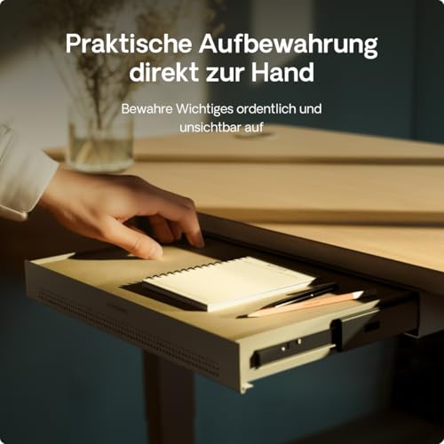 Desktronic Schreibtisch-Organizer, Untertisch-Aufbewahrungsbox, Schreibtisch für Büro Schule Homeoffice Schreibwaren, Metallschublade, Versteckte Schubladenbox (Grau)