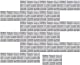 Decoroom Fliesenaufkleber Grau 24pcs/15x30cm Brick Vinyl Selbstklebende Fliesenfolie Wasserfes Wandfliese Sticker für Küche Backsplash Badezimmer, Mit PVC Fliesen klebefliesen
