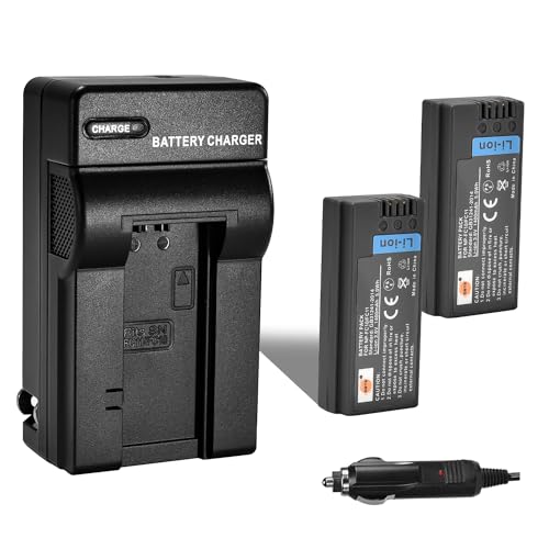 DSTE Replacement for 2X NP-FC10 Battery + DC06 Travel and Car Charger Adapter for Sony DSC-F77 F77A FX77 P10 P12 P2 P3 P5 P7 P8 P9 V1 Camera as NP-FC11