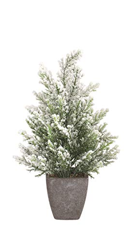 Sei amante della tradizione del Natale?