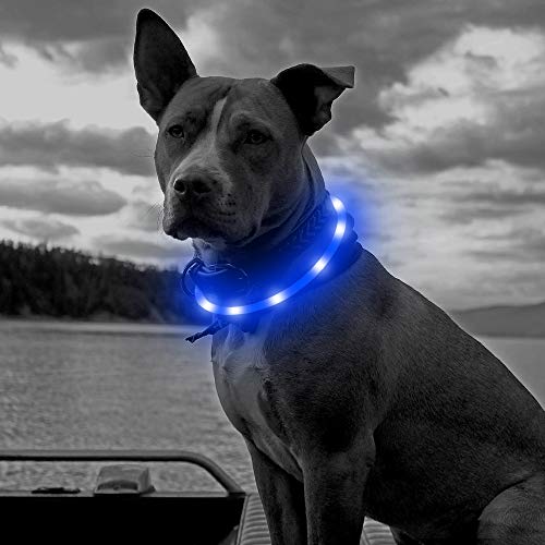 Higo Led Dog Collar, Usb Rechargeable Light Up Collars, Silicone Diy Cuttable Falshing Safety Collar For Your Small Medium Large Dogs (Blue) #TOP6