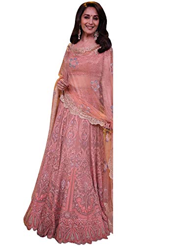 Matindra Enterprise Womens Nylon Net 
