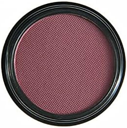 PhoeraAQUAPURITY Waterproof Long Lasting Matte Eyeshadow Palette in 12 Pigment Color Face Powder Eye Shadow Cosmetic Cream Makeup Cosmetic (205 Friskie)