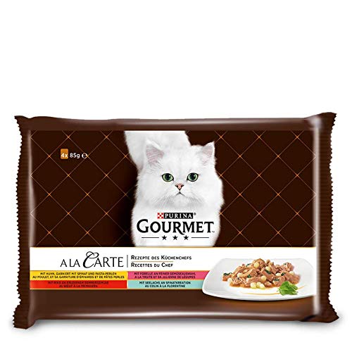 gourmet cat