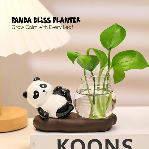 Image of Ekhasa Nostrae Panda with Money Plant Planter Show Pieces for Home Decor | Cute Showpieces Gift Item for Decoration | Center Table Tv Showcase Shelf Office Interior Statue Figurines