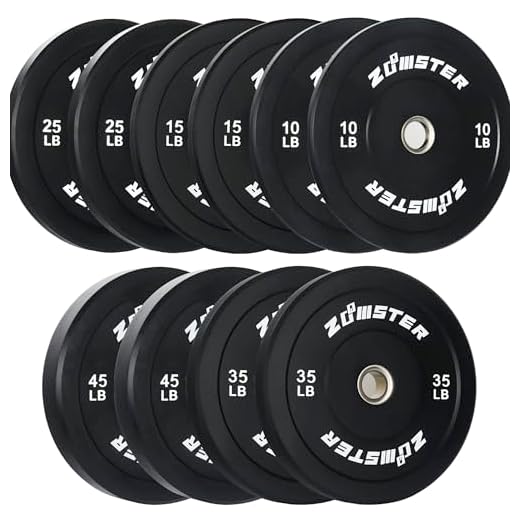 Bumper Plate Olympic Weight Plate Bumper Weight Plate with Steel Insert Strength Training Weight Lifting Plate 260LB