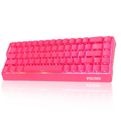OUSEITECH K68���C�A���X�L�[�{�[�h Bluetooth/2.4GHz/USB-C�̂R���[�h�ڑ� �z�b�g�X���b�v�Ή� ���J�j�J���L�[�{�[�h RGB�o�b�N���C�g���� �S�L�[���[���I�[�o�[ 4000mAh�o�b�e���[ PBT�L�[�L���b�v 60�����C�A�E