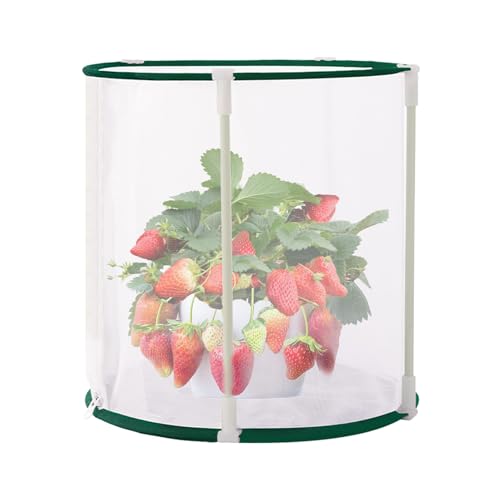 AؔJo[ - P[WK[h eg oA - t[|bgJo[ | OpeBIŐ؉ʕؒz琬qȊwvWFNgp