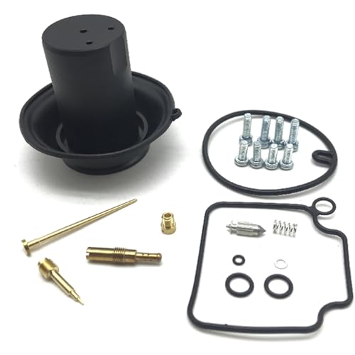 Kit de reparación carburador VTX1300 para reparar ralentí inestable y falta de potencia en ruta