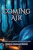 Fire and Ice Young Adult Books