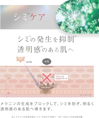 WrinkFade リンクフェード | 薬用リンクルカバーファンデーション 20g リキッドファンデーション 美白 シミ シワ改善 医薬部外品 - 画像 5