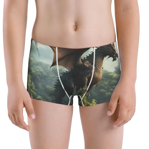 Boys' Cotton Boxer Brief Soft Underwear-Forest Stone-Colored Dragon