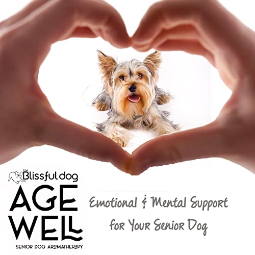 Image of The Blissful Dog Yorkshire Terrier Age Well Dog Aromatherapy Roll-On Bottle for Your Dog's Peaceful Ageing