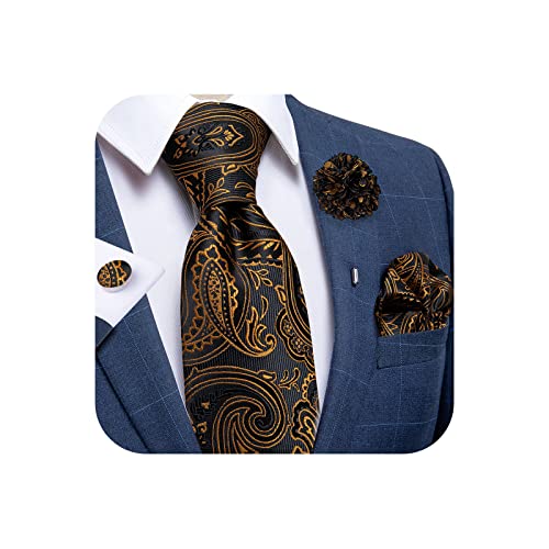 DiBanGu Men's Silk Tie and Lapel Pin Brooch Set Woven Pocket Square Cufflinks Paisley Stripe Solid Necktie Formal Wedding Party, paisley black gold, One Size