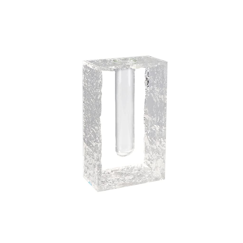 Vase moderne en acrylique transparent pour fleurir votre table basse de salon