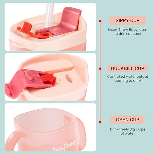 Image of BAYBEE Hazzy 2 in 1 280ml Baby Sipper Bottle for Kids, Drinking Training Anti Spill Sippy Cup with Silicone Straw, Spill Proof & Non-Slip Twin Handles | Spout Sipper Cup for Infants 6+ Months (Pink)