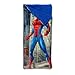 Northwest Spider-Man Cloud Sherpa Slumber Bag, 27
