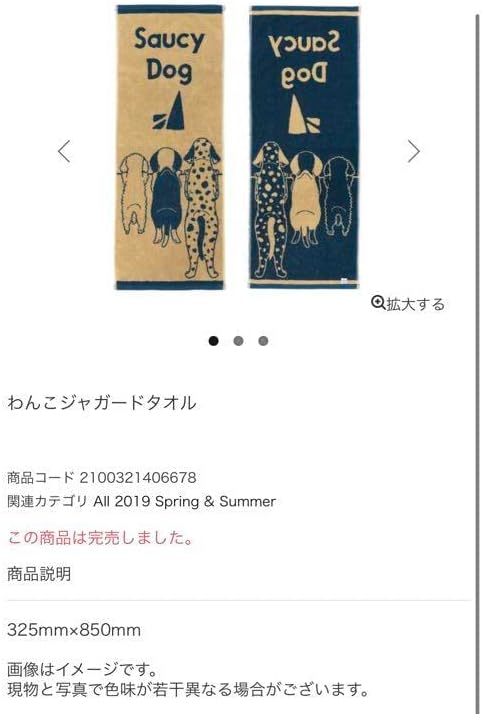 Saucy Dog 3点セット Tシャツ2枚タオル1枚 Saucy Dog ライブ グッズ