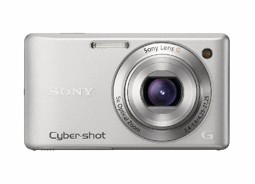 Sony DSC-W380 Cyber-shot Digital Camera - Silver (14.1 MP, 5x