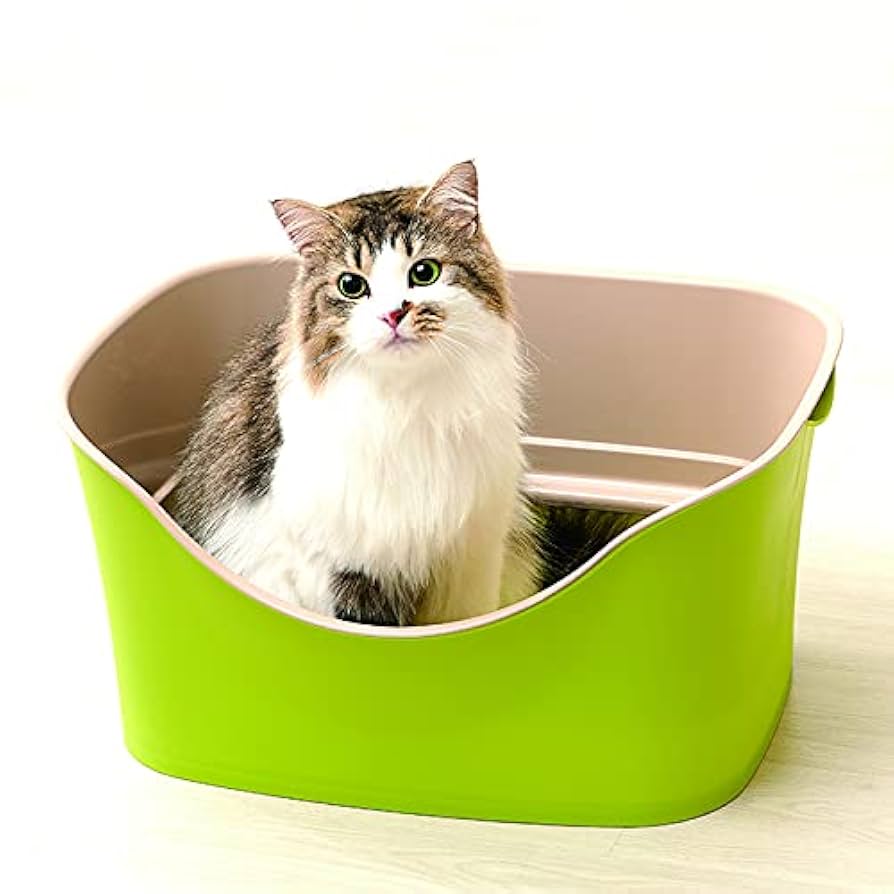 ボンビアルコン (Bonbi) ラクラク猫トイレ Wブロック ピスタチオグリーン ggw725x Amazon | ボンビアルコン (Bonbi) 猫用トイレ本体 ラクラク猫