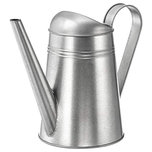 Ikea TSSP Watering can, in/Outdoor/galvanised2.6 l (88 oz) (B08MF994WC) Amazon Price History, Amazon Price Tracker