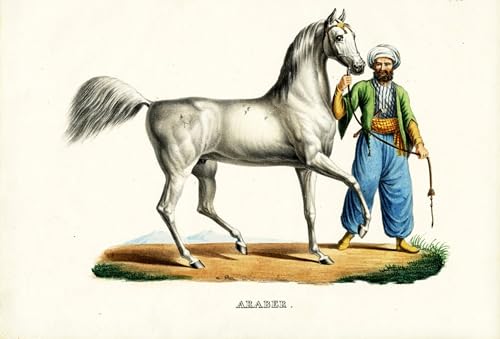 Art Animal Arabe Tableaux Karl Brodtmann Affiche pour Grand Mur Vide