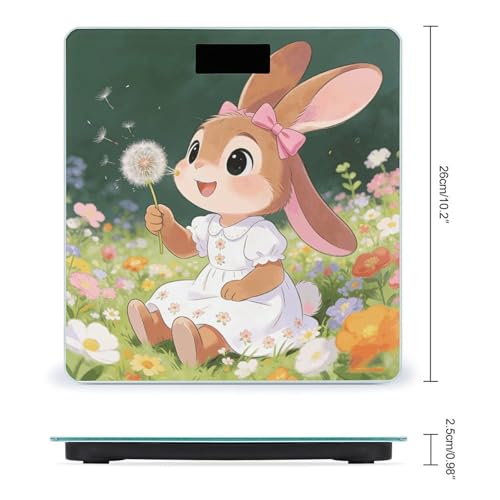 Báscula Digital de Baño VstaDank con Pantalla LCD miniatura 2