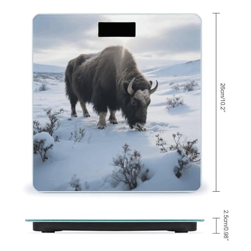 Báscula digital para baño con alta precisión 400 lb miniatura 2