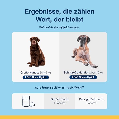 ProDen PlaqueOff Soft Chews für Zahnpflege Hund, Dose mit 60 Hunde Leckerlis, Natürliche Zahnreinigung Hund, für große Hunde, Hunde Zahnpflege für frischen Atem und Zahnbelag entfernen