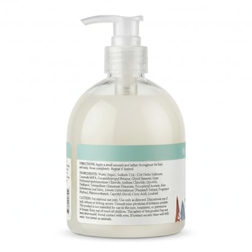 Image of Ginger Lily Farms Botanicals Shampoo, 16.9oz /6pk, Eucalyptus Tranquility | 100% Vegan & Cruelty-Free | Moisturizing Shampoo for All Hair Types