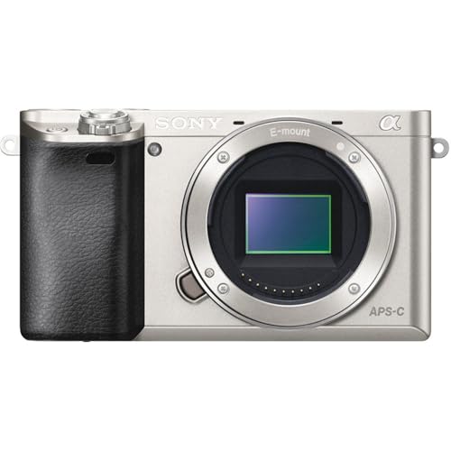 Image of Sony Alpha a6000 Mirrorless Digital Camera (Silver, Body Only) + 64 GB Memory + Extra Battery + Spider Tripod + Case + Tripod + LED Light + Battery Charger + More (21pc Bundle) (Renewed)
