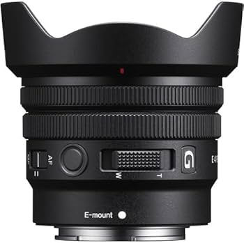 Amazon.com : Sony E PZ 10-20mm F4 G Lens Bundle (SELP1020G) with