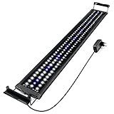Honpal LED Aquarium Licht mit ausziehbaren Halterungen, weiße und blaue LEDs, Aquarium Licht für Süßwasser und Salzwasser. (20W für 90-120CM Aquarium)