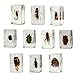 Geoworld 10 Insect Specimens Set - Real Beetles, Scorpions, Crickets in Resin with Magnifying Glass & Booklet - Great for Science Projects - Kids Scientific Educational Toy