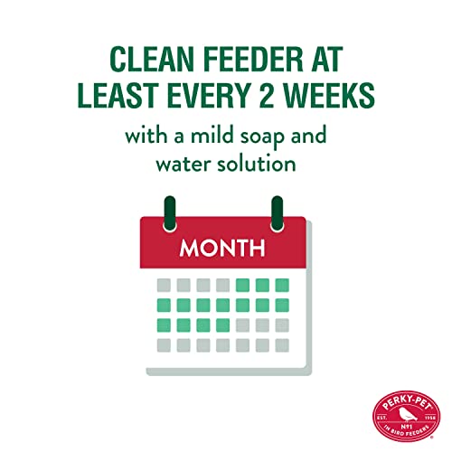 Perky-Pet 784 Mason Jar Wild Bird Feeder thumb #5