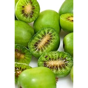 20 Zaden van Baby Kiwi – ACTINIDIA ARGUTA – Hardy Kiwi