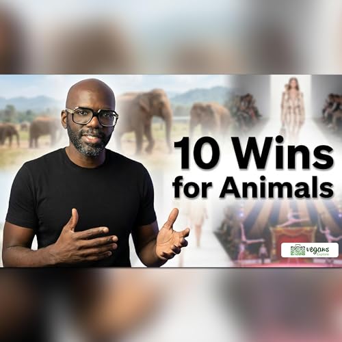 Top 10 Recent Wins for Animals That Show Real Momentum