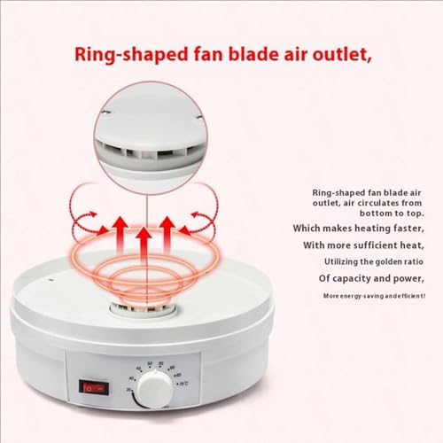 Small Transparent Food Grade Dehydrator - 110V Air Dryer for Fruits, Vegetables, Pet Meat, and Snacks - 360° Cyclic Heating for Home Use and Food Processing