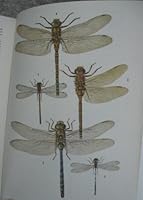 A Field Guide in Colour to Insects 070640582X Book Cover