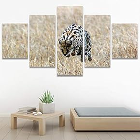 SIGNWIN 5 Panel Canvas Wall Art Animals Cheetah...