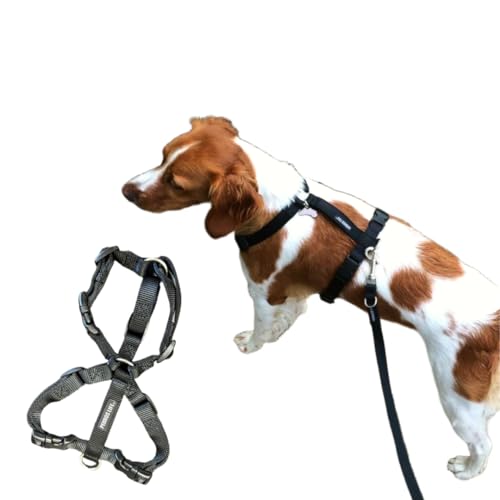 犬用ハーネス 超小型犬用【PERROS ペルロスハーネスM(PA20)サイズ BLKブラックカラー】お散歩用 獣医師推奨 気管虚脱 脇擦れ対策 簡単装着 抜けにくい サイズ調整 おしゃれ イタリア製 ソフトな素材 脇が擦れない 喉への負担が少ない 引っ張り