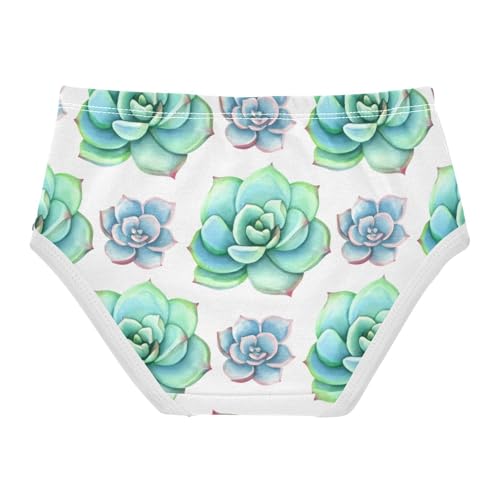 Girls Underwear Toddler 2t Cotton Cute Panties Girl Pattern Kids Undies Briefs Watercolor Green Blue Succulent White2