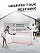 MerryMove Pickleball Practice Rebounder: 2in1 Pickle Ball Equipment for Solo Practice, Rebounder Training with Strategically Placed Targets, 6FT Mini Pickleball Net for Backyard, Driveway, and Garage