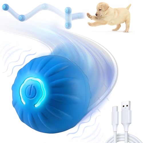 WLLEADG Shaky Ball Toy - Interactive, Vibrating Ball for Small, Medium & Large Dogs - USB Rechargeable (Blue)