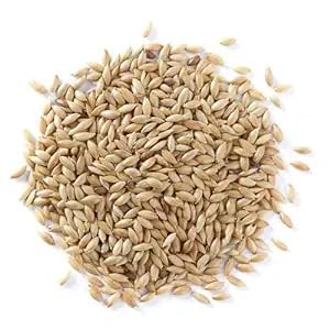 Nature Agro Canary Seeds 250 gm for Birds (Canary,Finches,Budgies,Cockatails,Lovebirds) (B0CQXXBPDT) Amazon Price History, Amazon Price Tracker