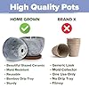 HOME GROWN Bonsai Tree Kit – Premium Ceramic Starter Set with 4 Bonsai Varieties – Easy Indoor Gardening Gift for Men & Women – Unique Plant Kit for Beginners & Nature Lovers #3