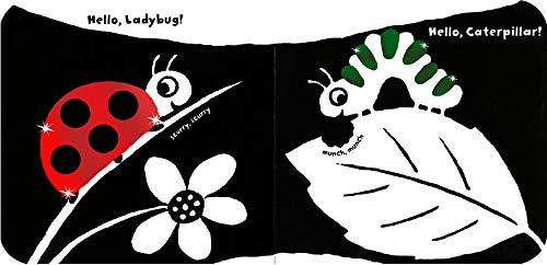 Hello, Bugs!
